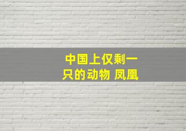 中国上仅剩一只的动物 凤凰